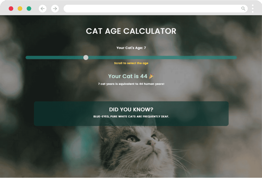 cat hero img wide